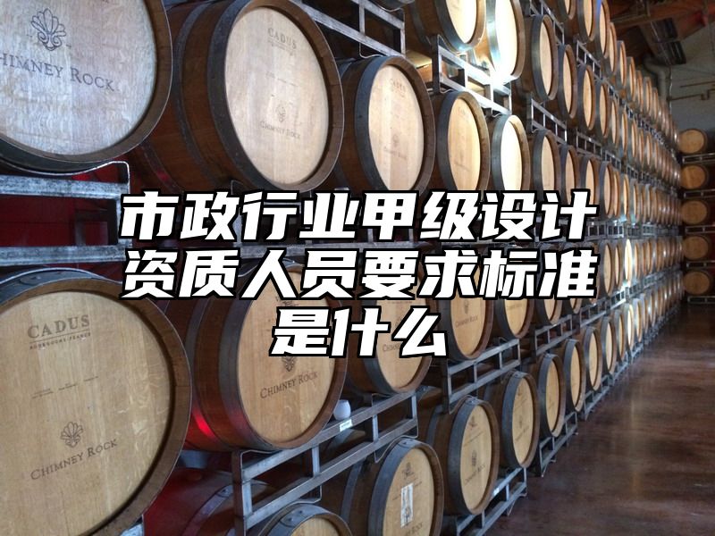 市政行业甲级设计资质人员要求标准是什么