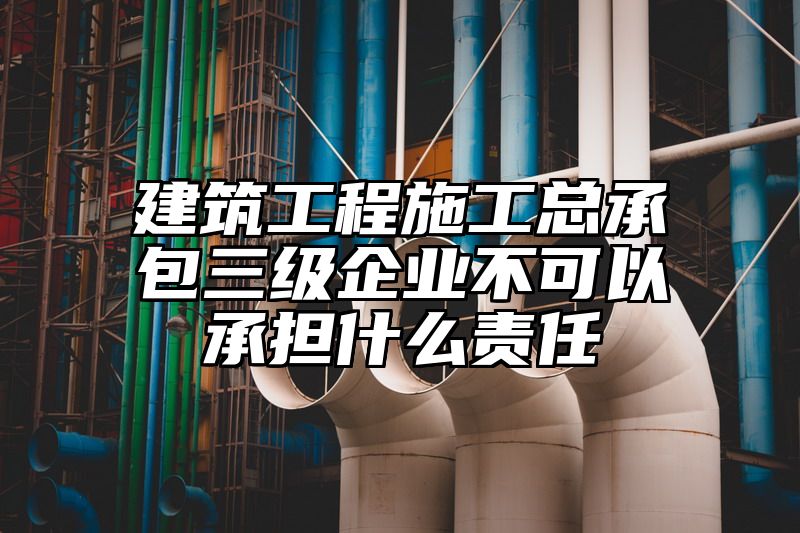 建筑工程施工总承包三级企业不可以承担什么责任