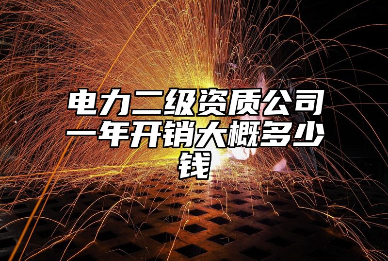 电力二级资质公司一年开销大概多少钱