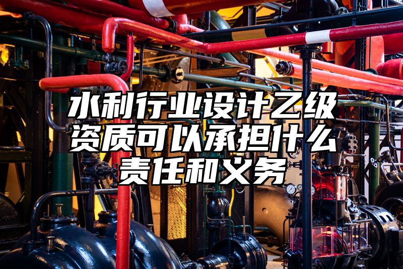 水利行业设计乙级资质可以承担什么责任和义务