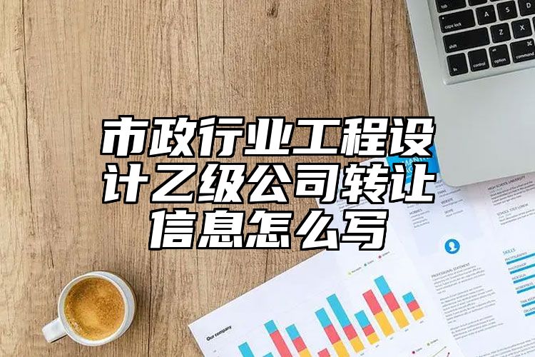 市政行业工程设计乙级公司转让信息怎么写