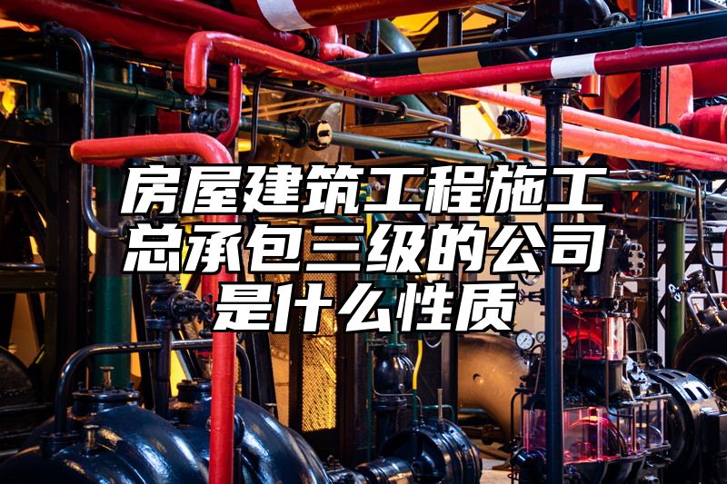 房屋建筑工程施工总承包三级的公司是什么性质