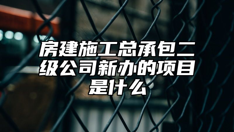 房建施工总承包二级公司新办的项目是什么