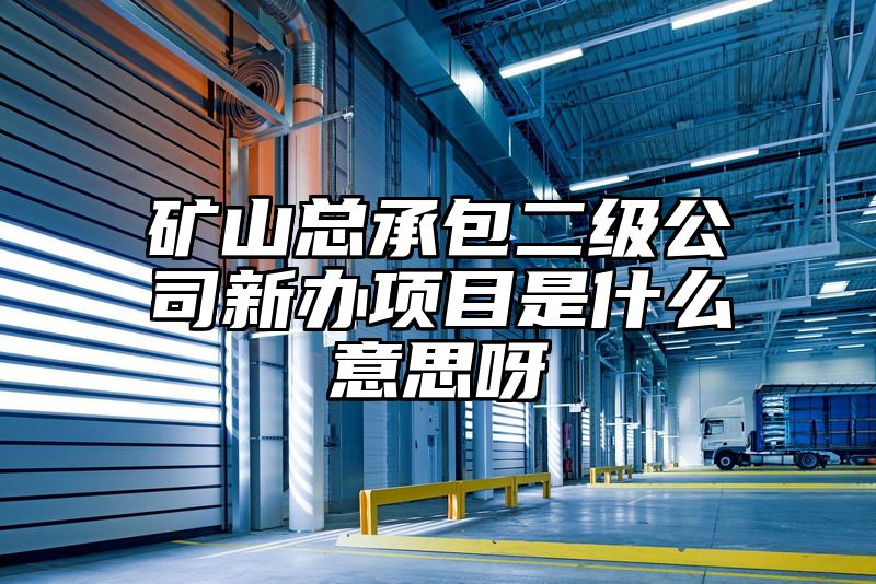 矿山总承包二级公司新办项目是什么意思呀