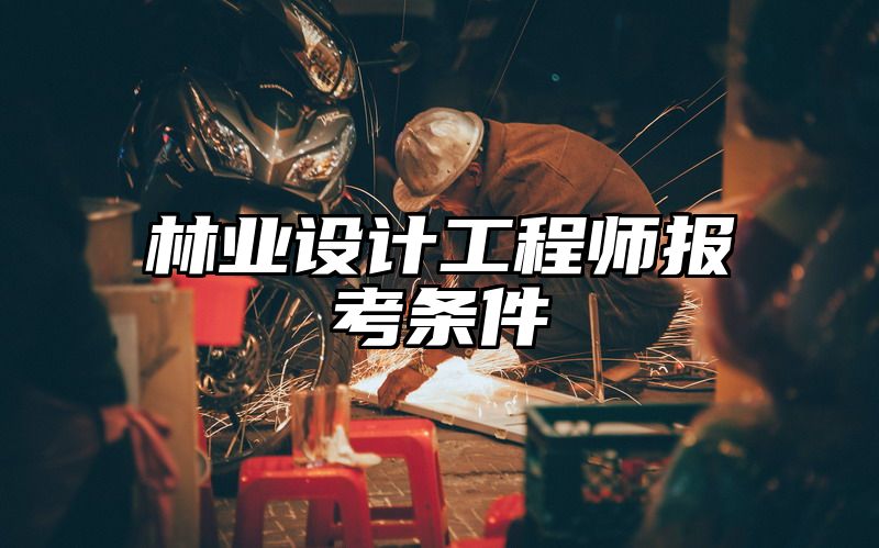 林业设计工程师报考条件